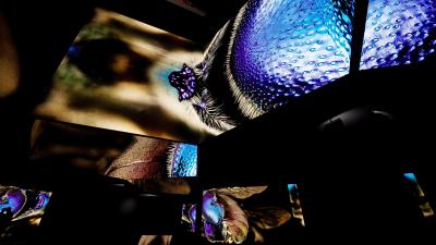 Immersive experience within a dark room with bug eyes on screens